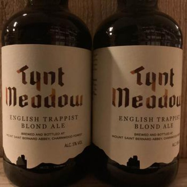 Tynt Meadow Blond